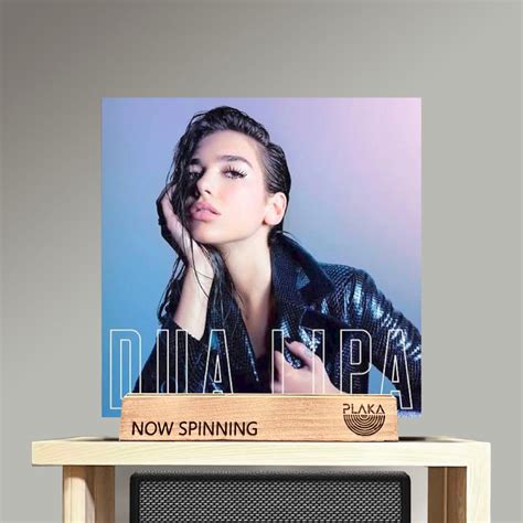 Dua Lipa Self Titled Album Vinyl LP Plaka On Carousell