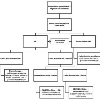 Proposed Initial Approach To The Management Of ER Positive