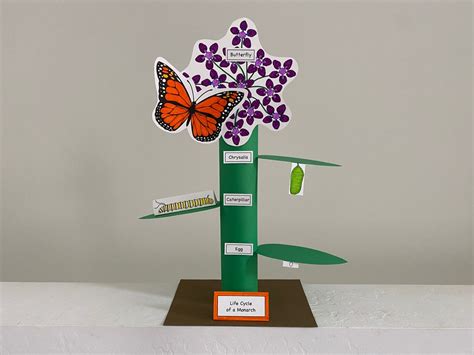 Monarch Butterfly Life Cycle Printable Papercraft Etsy