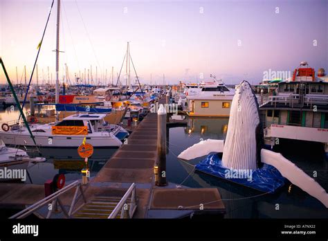 Hervey Bay Tourism Queensland Australia Stock Photo Alamy