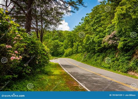 Skyline Drive, in Shenandoah National Park, Virginia. Stock Image ...