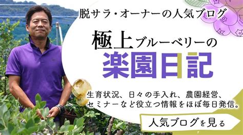 今後のブログは公式ホームページへ 「最強の農起業！」脱サラ農業・極上ブルーベリーの楽園日記 ～好きな仕事があなたの人生を変える～