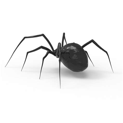 Spider 3d Model Cgtrader