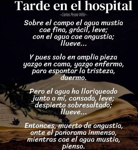 Quien Es El Hablante Lirico En El Poema Tarde En El Hospital