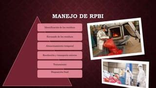 Manejo De Rpbi Ppt