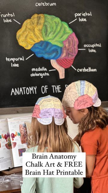 Sarah Wilson On Instagram Free Brain Hat Printable Linked In My