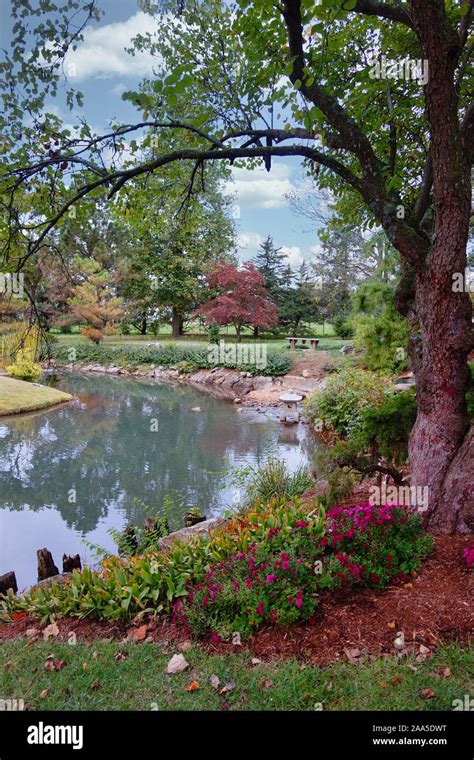 Mizumoto Japanese Stroll Garden In Springfield Mo Stock Photo Alamy