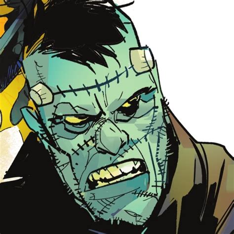 Frankenstein Dc Vs Vampires Dc Comics