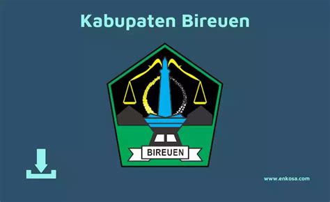 Download Logo Kabupaten Bireuen PNG