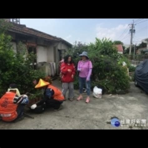 嘉縣出現本土登革熱確診病例 衛生局籲民眾加強清除積水容器 Enews新聞網