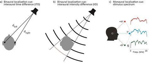 1: Binaural and monaural cues used for sound localization. a) For sound ...