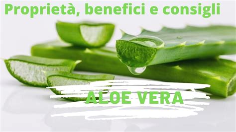 ALOE VERA Proprietà benefici e consigli d uso YouTube