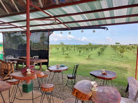 Café Ganin Enjoy A Tour Of A Working Coffee Farm In Bago City Negros