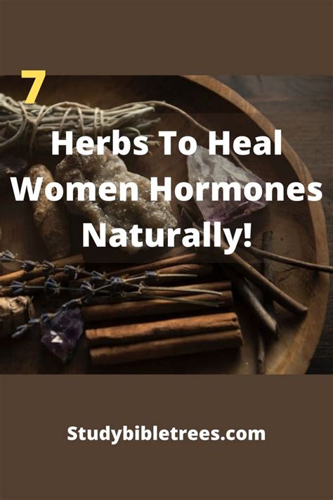 7 Herbs To Heal Women Hormones Naturally Female Hormones How To Stay Healthy Hormones