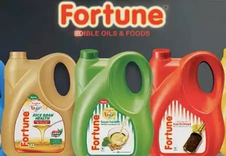 Top 10 Best Refined Oil Brands in India 2024 - CityWity