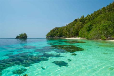 Misool Island -Raja Ampat Biodiversity Eco Resort