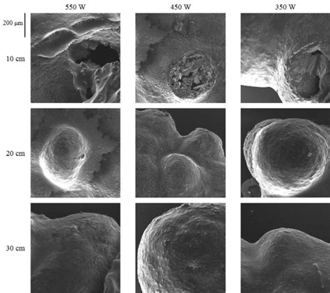 Scanning Electron Microscopy Sem Of Puffed Rice At Different