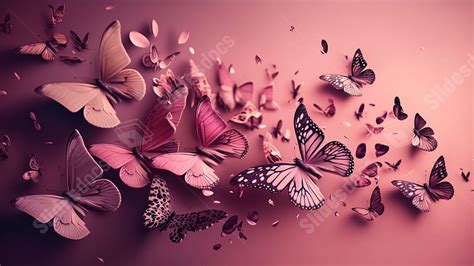 Pink Butterfly Backgrounds For Powerpoint