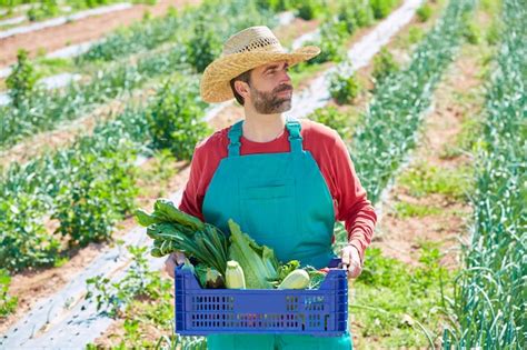 Premium Photo Farmer Man Harvesting Vegetables In Orchard