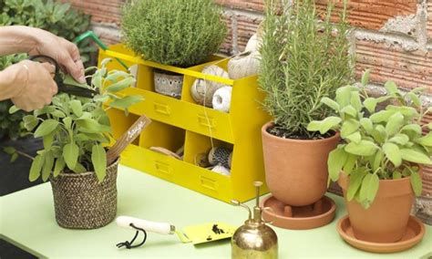 Astuces Pour Transformer Votre Balcon En Jardin Aromatique Guide Travaux