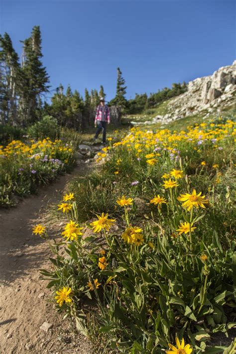 Hiking Trails Around Laramie Locals Favorites | Visit Laramie, Wyoming