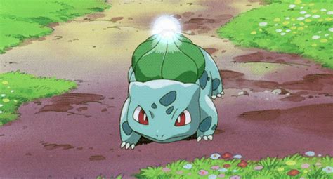 bulbasaur solerbeam gif | WiffleGif