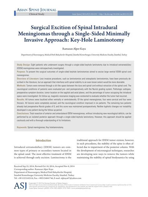 PDF Surgical Excition Of Spinal Intradural Meningiomas Through