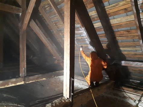 Xilix Gel (żel) - środek, preparat na korniki - DREVPOL