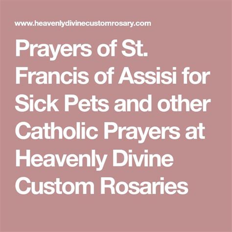 Prayers Of St Francis Of Assisi For Sick Pets And Other Catholic