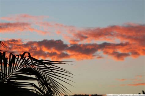 MalibuStrings Bikini Competition Gina Gallery
