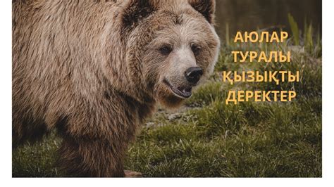 АЮЛАР ТУРАЛЫ ҚЫЗЫҚТЫ ДЕРЕКТЕР - YouTube