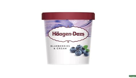 Buy Haagen Dazs Ice Cream Blueberries And Cream 100 Ml Online At Best