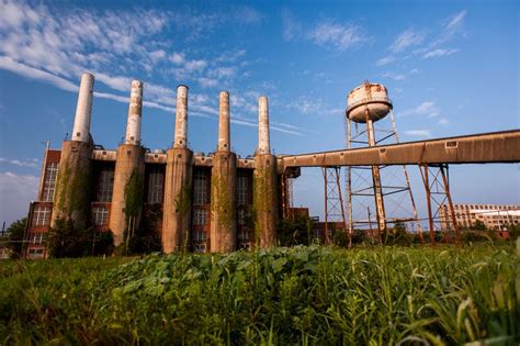 A Beautiful Thing Happened After Coal-Fired Plants Were Shut Down in the U.S.