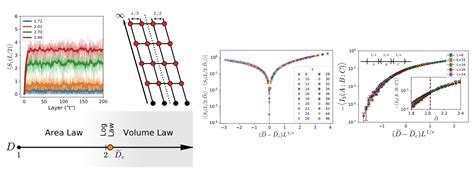 Entanglement Entropy Transitions With Random Tensor Networks Strongly