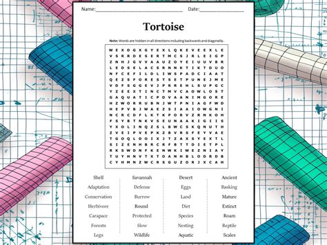 Tortoise Word Search Puzzle Worksheet Activity Teaching Resources