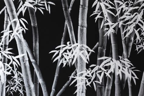 The Art Of Sumi E Exploring Japanese Painting Kaoru Hirose