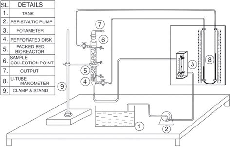 Schematic diagram of reactor set up. | Download Scientific Diagram