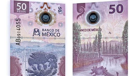 Nuevo Billete De 50 Pesos El Tunal El águila El Agua Y El Ajolote Proceso