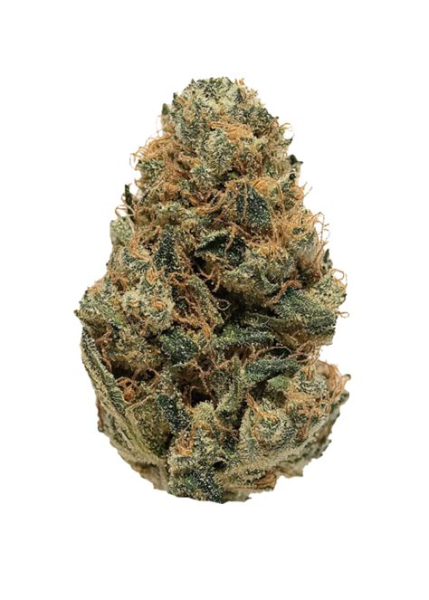 Jet Fuel Cannabis Strain Information - GrowDiaries