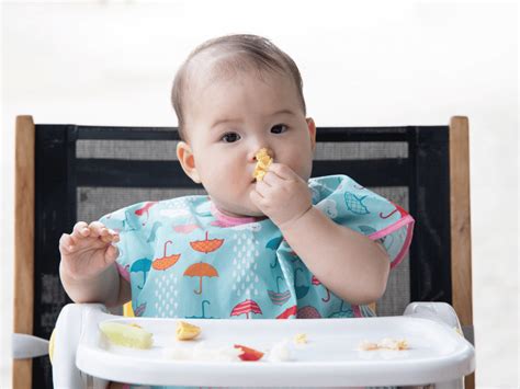 Baby Led Weaning For Beginners Starting Solids Finger Foods Guide