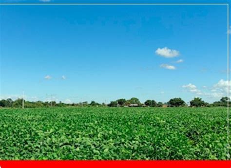 AgroAvances Bolivia Santa Cruz marca récord en producción este