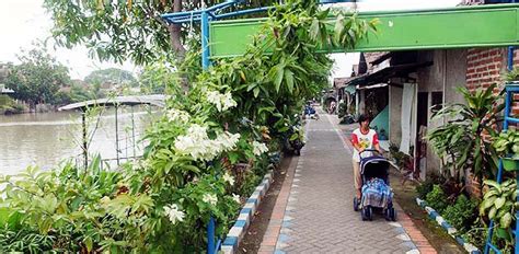 Cara Membuat Kampung Sehat Agar Menjadi Tempat Tinggal Yang Bersih Dan