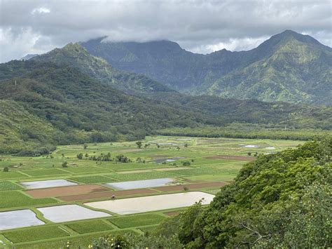 Hanalei Valley Lookout - Princeville, HI | MyHikes