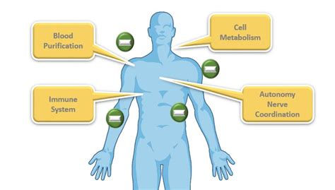 How Do Ions Help Your Body? - Infrared for Health