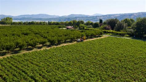 Azienda Agricola Casata Del Lago