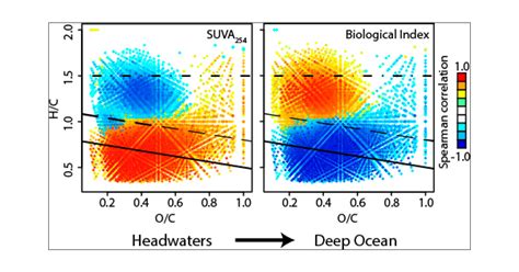 Unifying Concepts Linking Dissolved Organic Matter Composition To