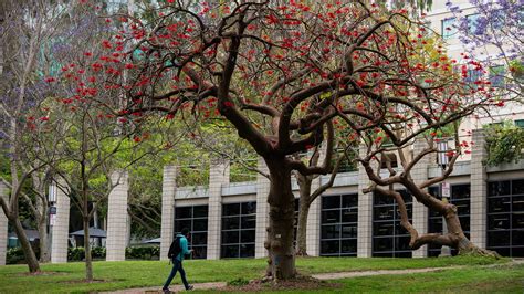 Guidance for Fall 2022 Grading - UC Irvine Provost and Executive Vice Chancellor