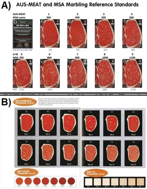 Beef Grading Scale