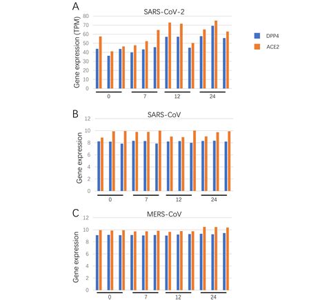 Comparative Transcriptome Analysis Reveals The Intensive Early Stage