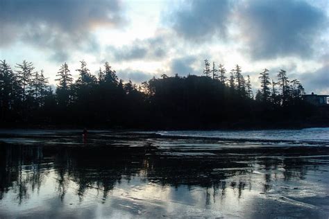 Things To Do In Tofino Vancouver Island Migrating Miss